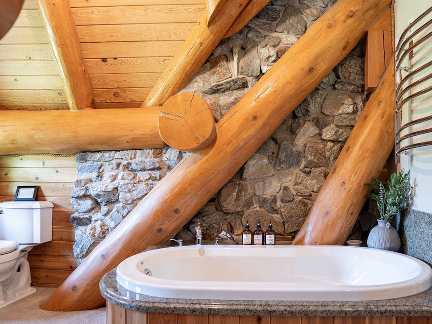 Stay Revy - Revelstoke House