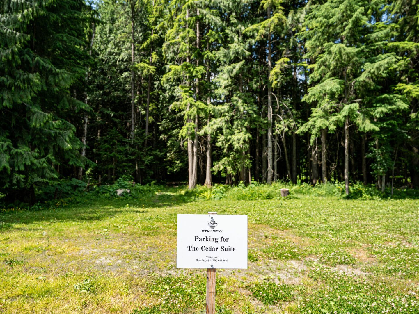 Stay Revy - The Cedar Suite