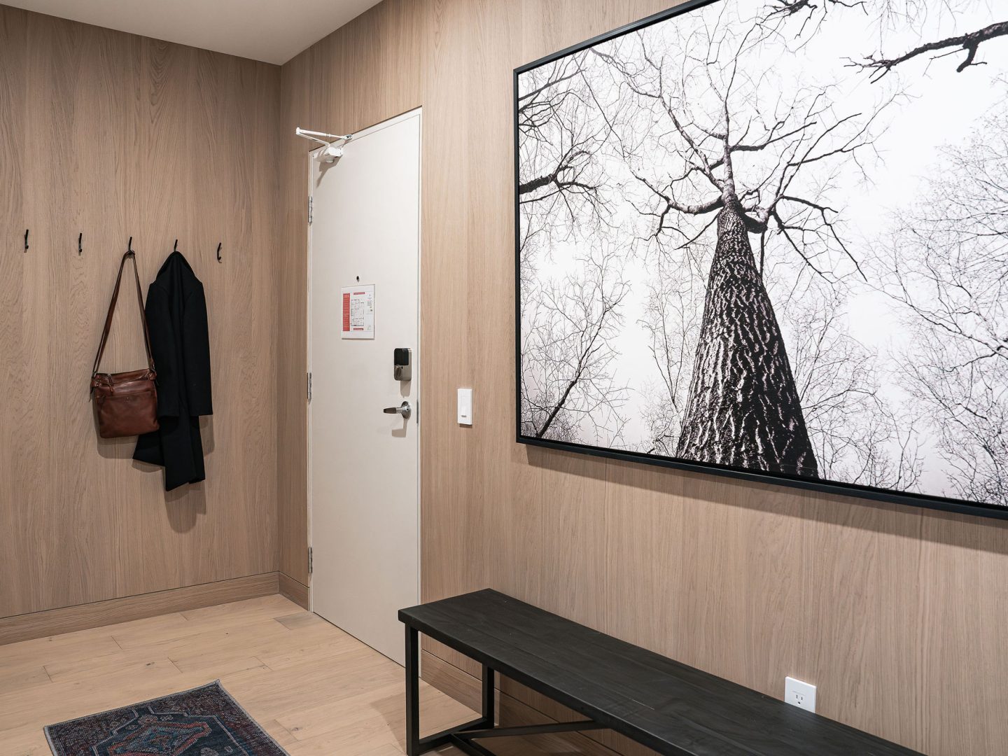 Stay Revy - Luna Ridge