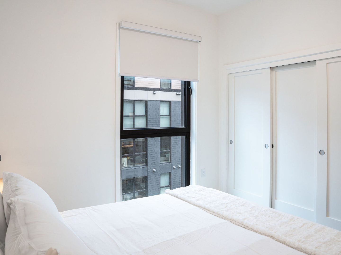 Stay Revy - The Chando